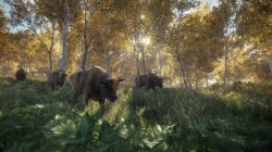 TheHunter: Call of the Wild [+ DLCs] (2017) PC | Лицензия