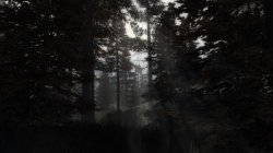  Dark Path (2020) PC | RePack  SEREGA-LUS