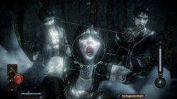 FATAL FRAME / PROJECT ZERO: Maiden of Black Water (2021) PC | Лицензия
