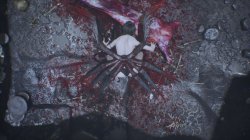 Spider Queen cave (2023) PC | Лицензия