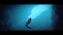 Under The Waves (2023) PC | Лицензия