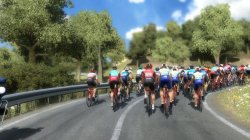 Pro Cycling Manager 2024 (2024) PC | 