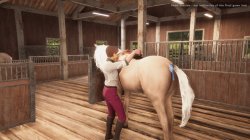 My Horse: Bonded Spirits (2024) PC | 