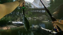 Ultimate Fishing Simulator 2 (2025) PC | 