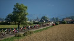 Pro Cycling Manager 25 (2025) PC | 