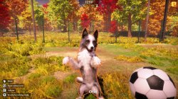 Animal Shelter 2 (2025) PC | 