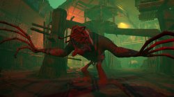 Zoochosis (2024) PC | 