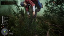 Bigfoot Life (2025) PC | 