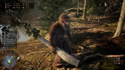 Bigfoot Life (2025) PC | 