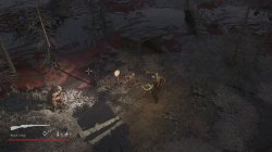 Where the forest ends (2026) PC | ��������