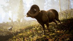 Hunting Simulator 3 (2026) PC | ��������
